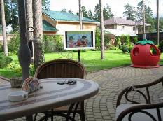 outdoor TV protection